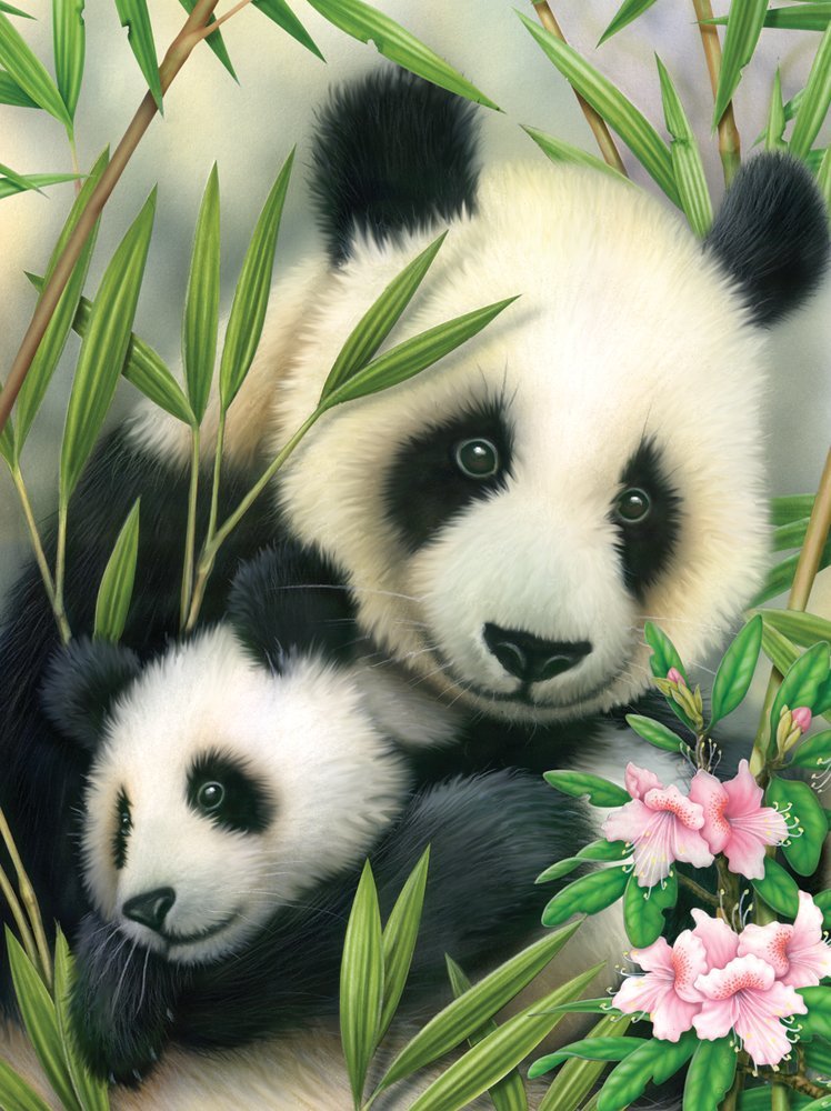 Slikanje po brojevima formata A4 - Panda s mladunčetom