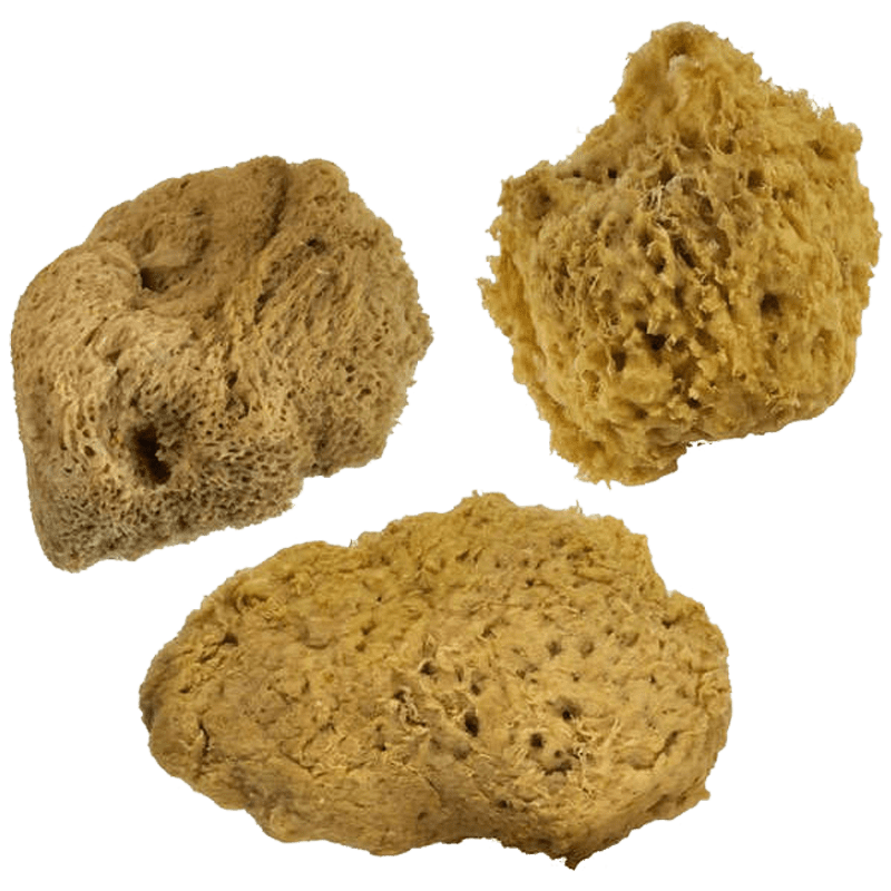 Prirodne morske spužve - valovite spužve - set - 3 kom.
