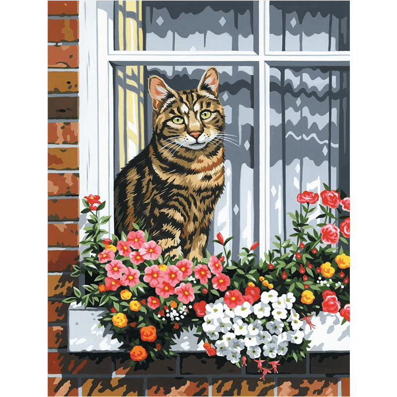 Slikanje po brojevima na platnu - Mačka na prozoru