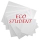 SLIKARSKA PLATNA ECO STUDENT